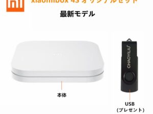 Xiaomi Box 4S Pro+USB 小米盒子4S Pro 中国番組 音声認識機能リモコン付き